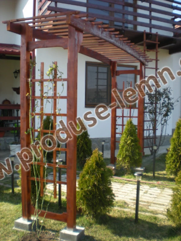 pergola_din_lemn_pentru_gradina_(4)