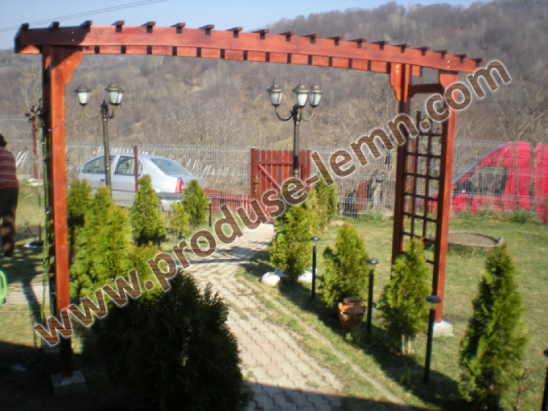 pergola_din_lemn_pentru_gradina_(6)