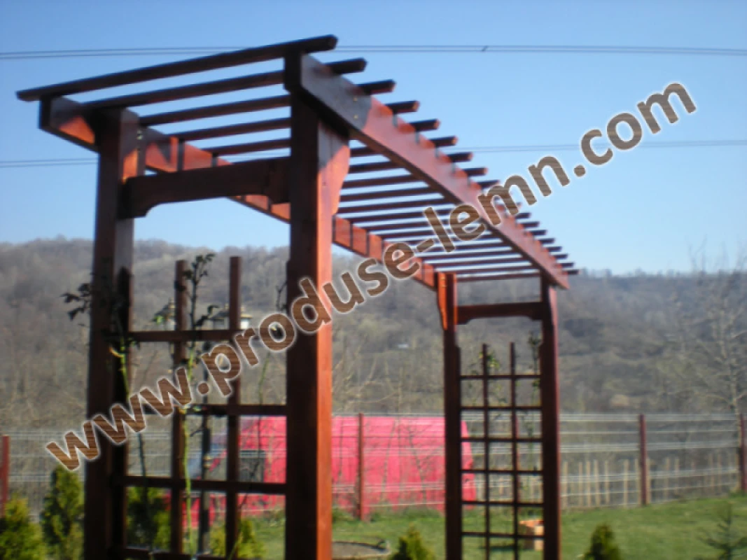 pergola_din_lemn_pentru_gradina_(9)