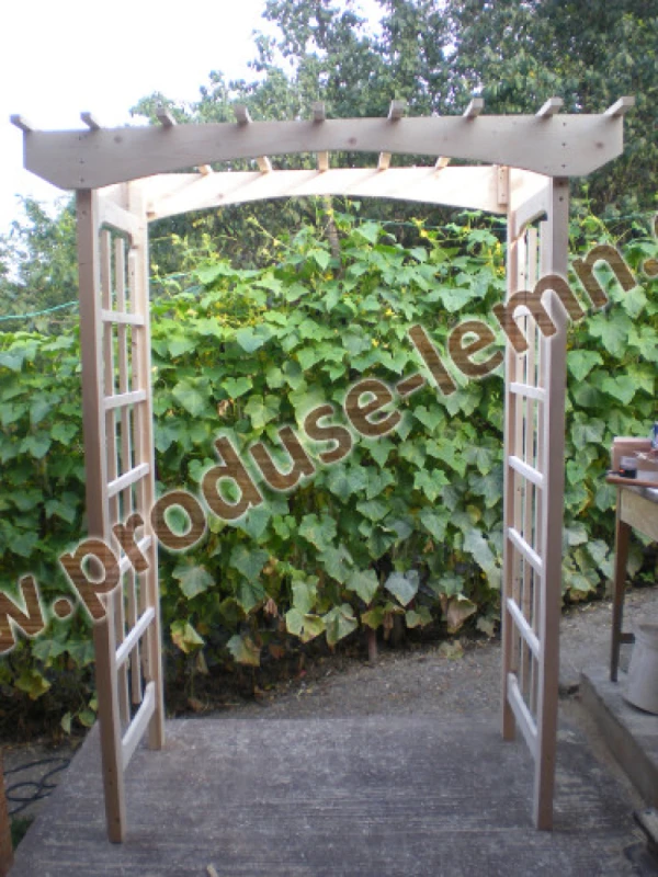 pergola din lemn (21)