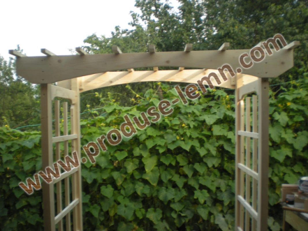 pergola din lemn (28)