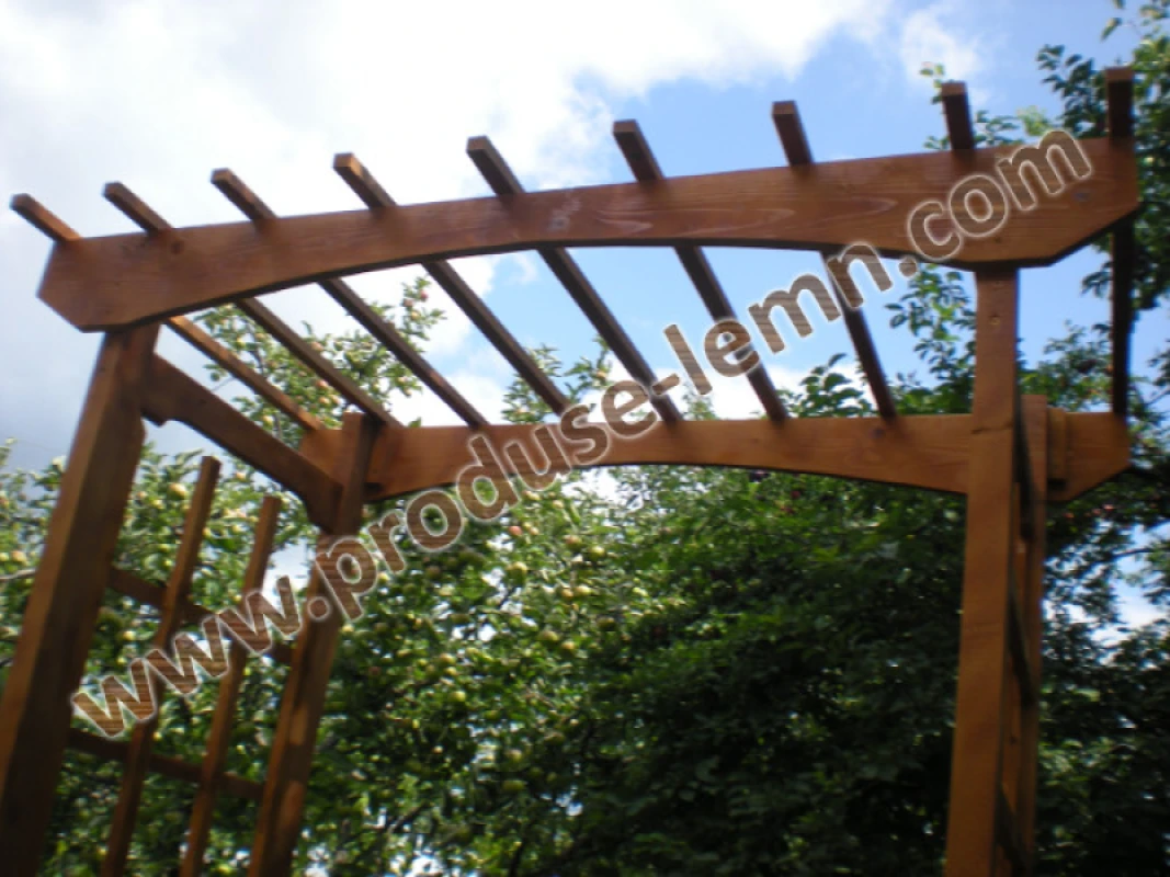 pergola din lemn (34)