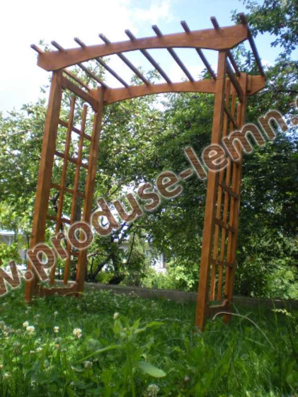pergola din lemn (39)