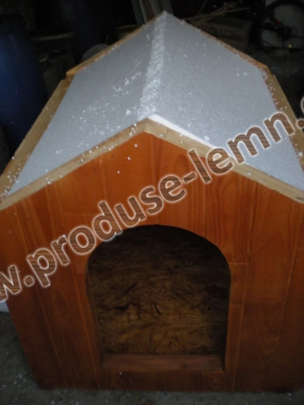 DSCN7025
