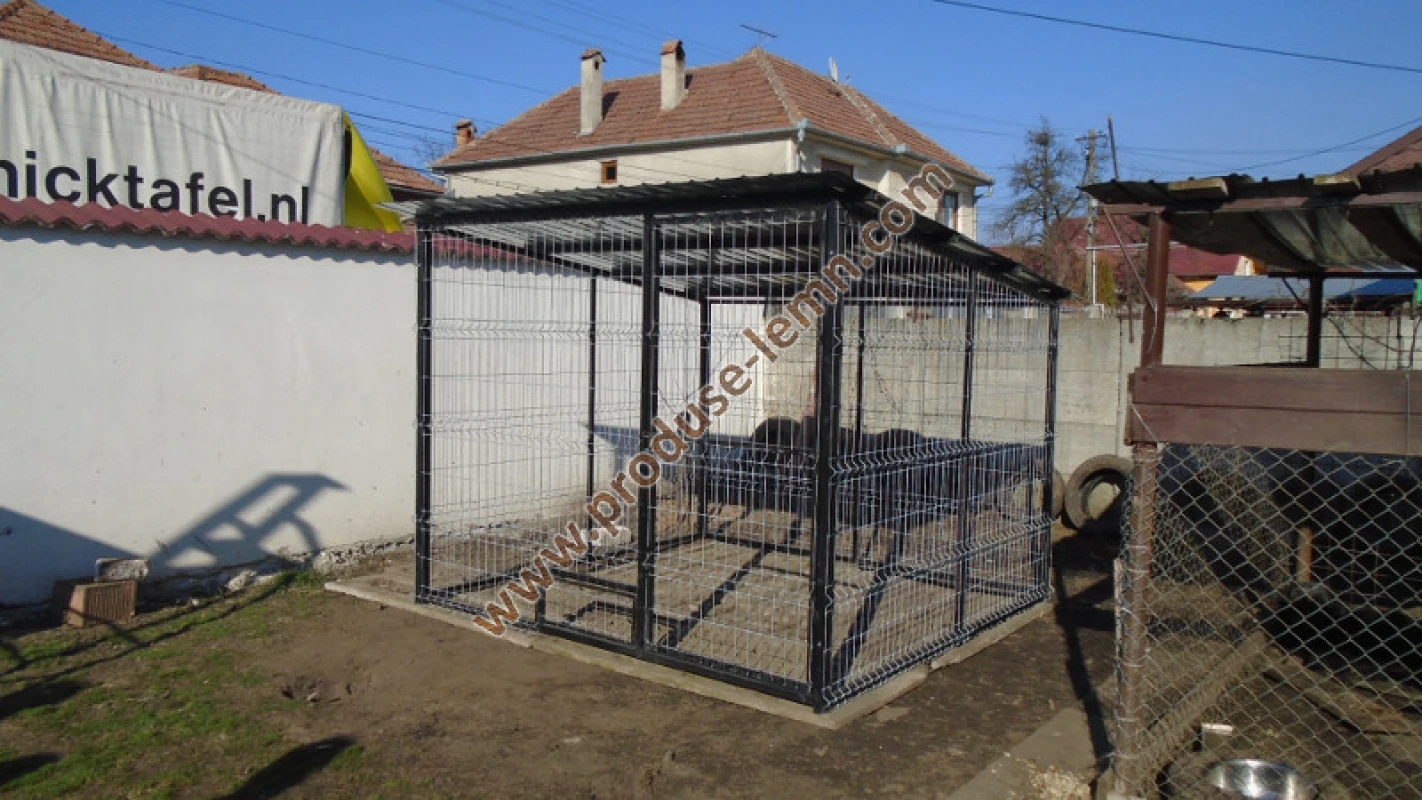padoc pentru caine 2 (8)