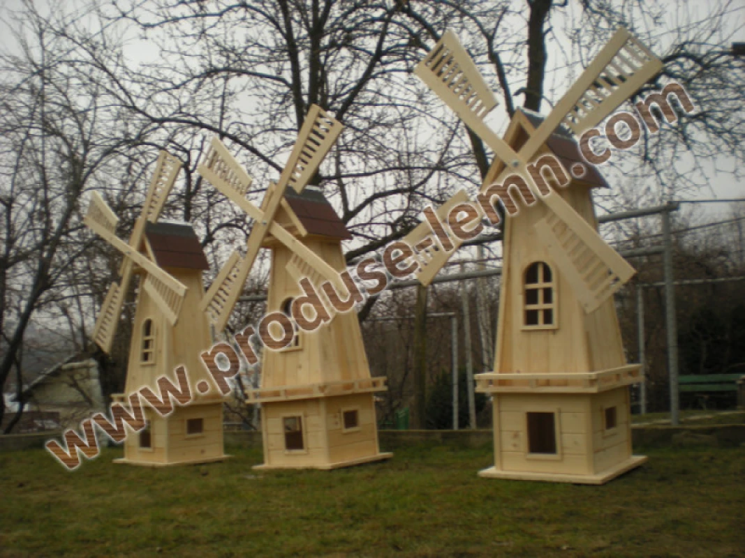 moara_vant_pentru_gradina_(10)